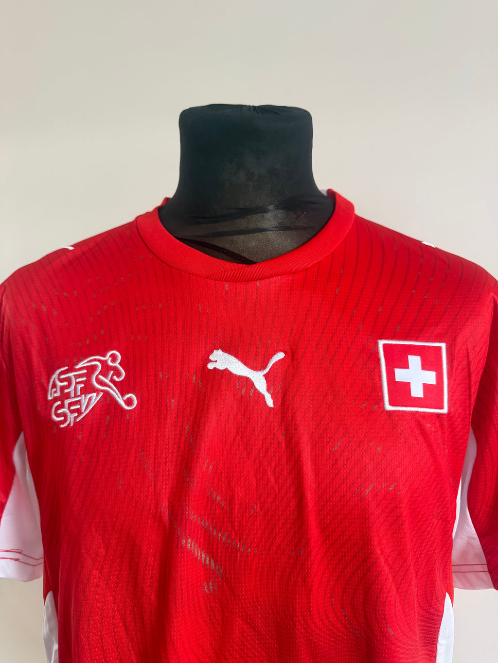 Švýcarsko Puma National team dres