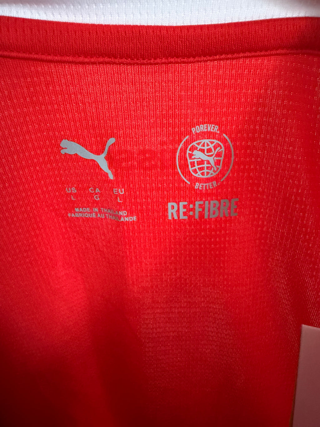Švýcarsko Puma National team dres