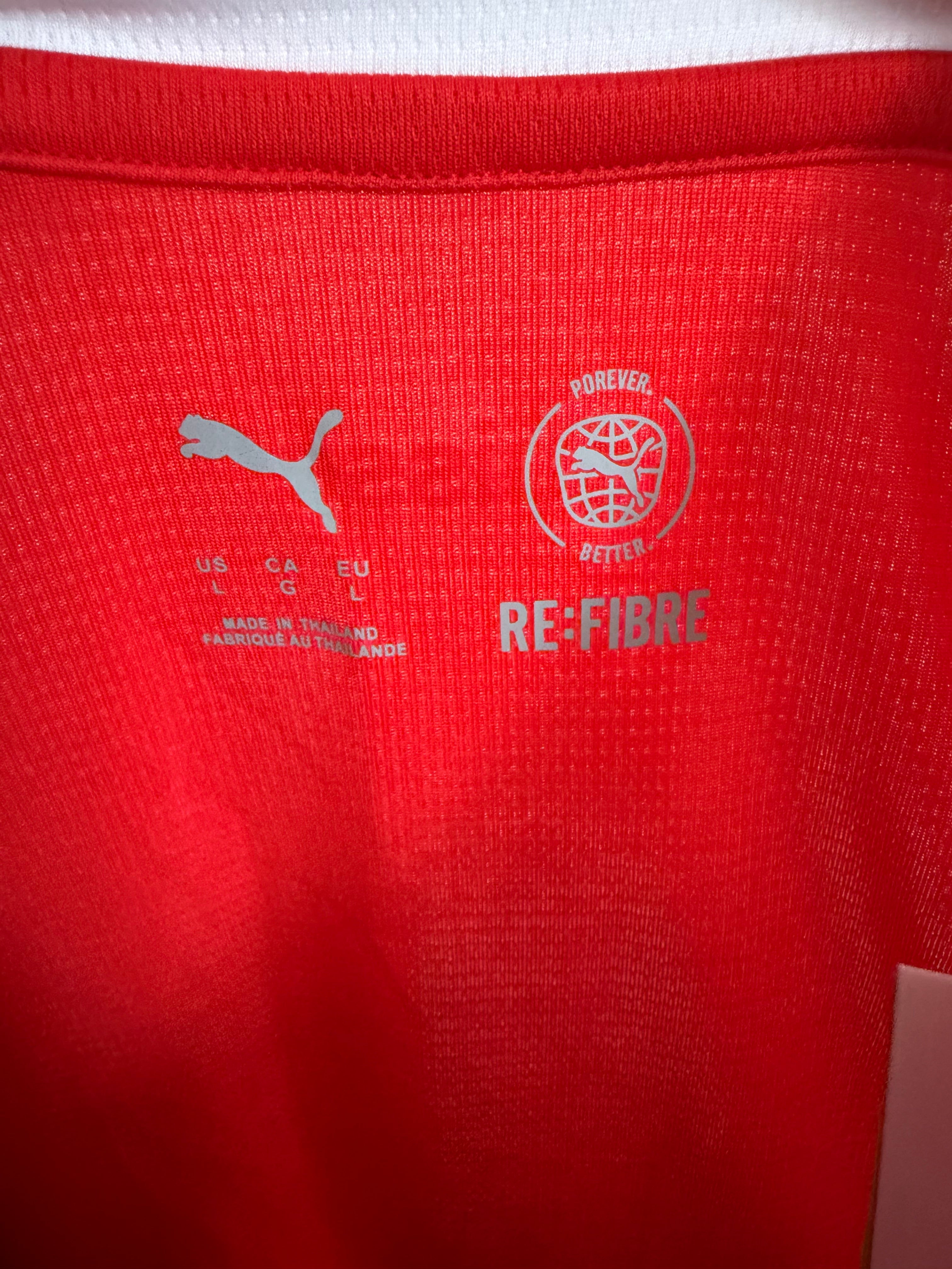 Švýcarsko Puma National team dres
