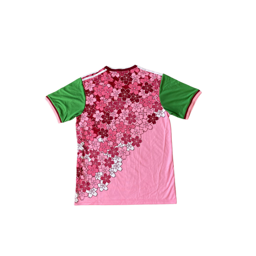 Stussy x Japan dres